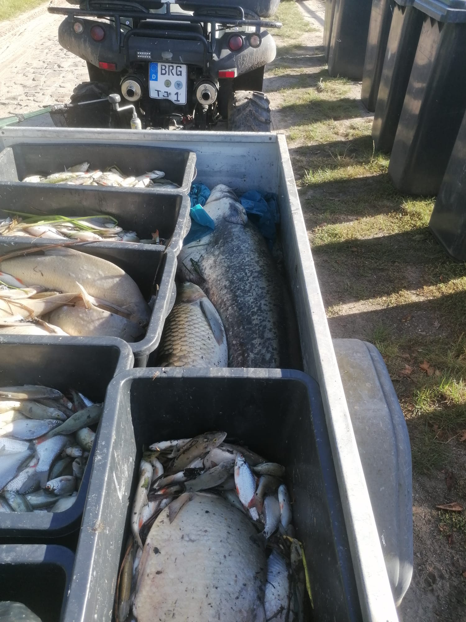 Sauerstoffmangel 2023